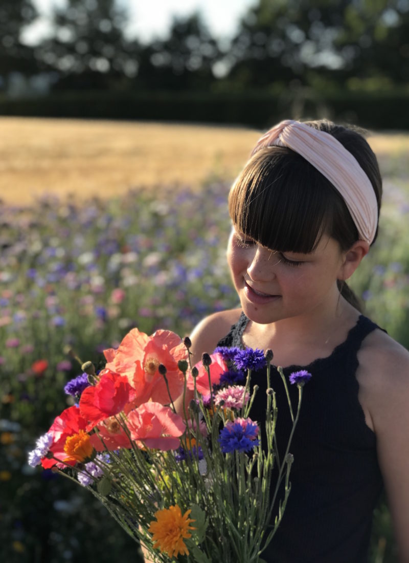 VESTERHAVET TUR-RETUR