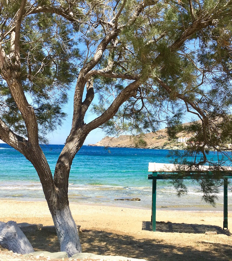 KEA – EN AUTENTISK PERLE