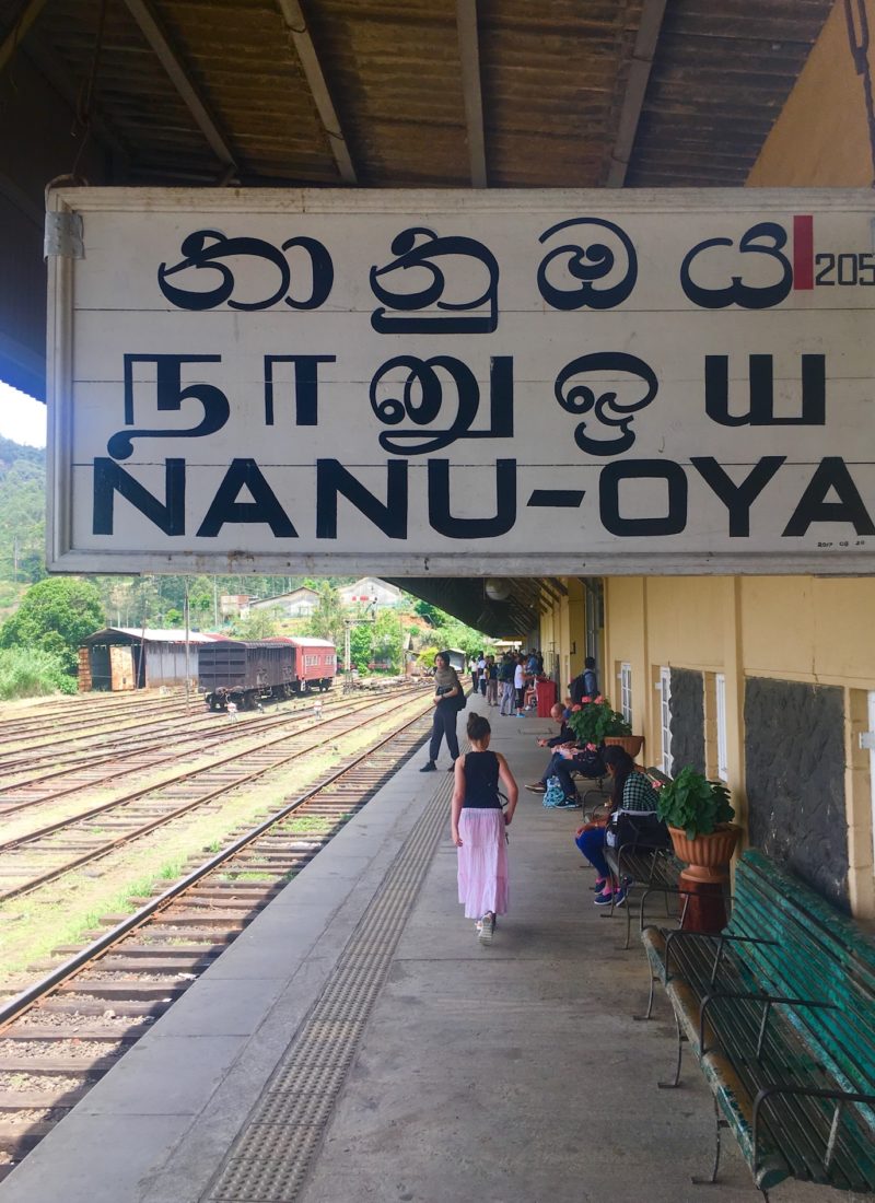 FØRSTE KLASSES RØVTUR PÅ 2. KLASSE – MEN SIKKE ET COME BACK!