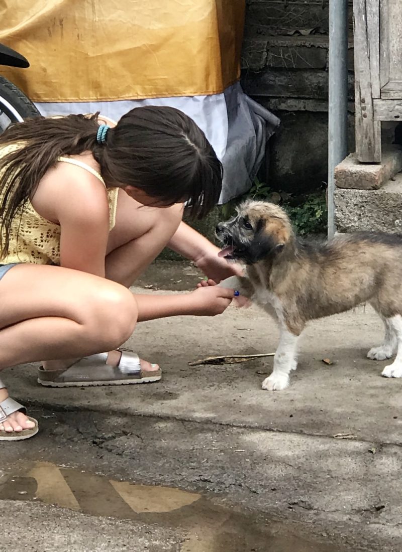 SÅ KOM JEG TIL BALI!