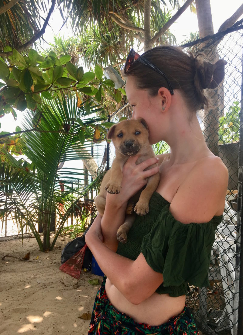 HUNDEVUGGESTUE I MIRISSA