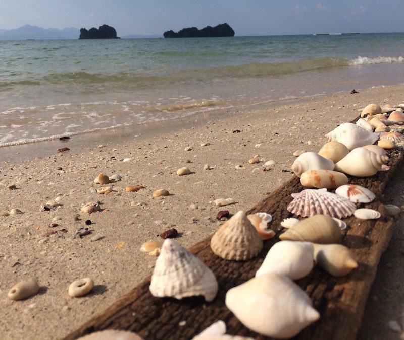 TIPS & ANBEFALINGER TIL MALAYSIA