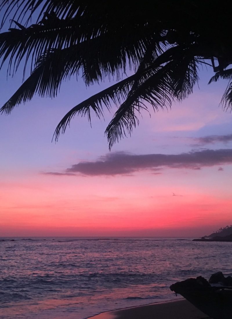 STRAND- OG DRIVERLIV I TANGALLE