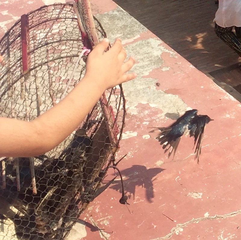 PHNOM PHEN – TILBAGE TIL STORBYEN