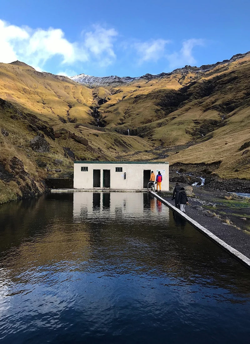 ISLANDS FACINERENDE SYDKYST