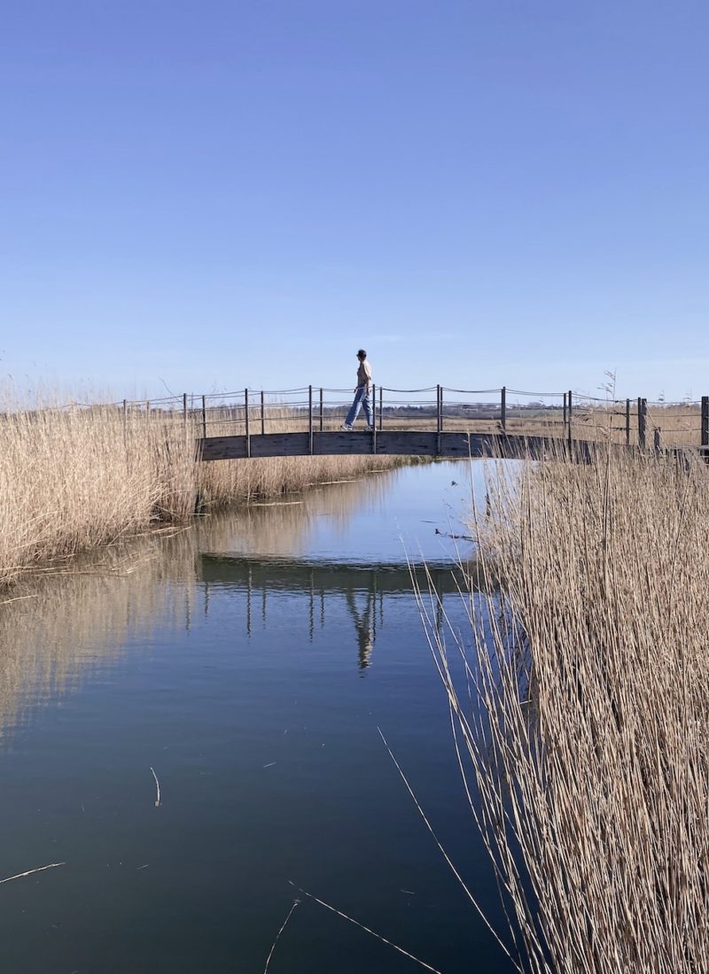 VANDRETUR LANGS NATURSTIEN I HEJLSMINDE