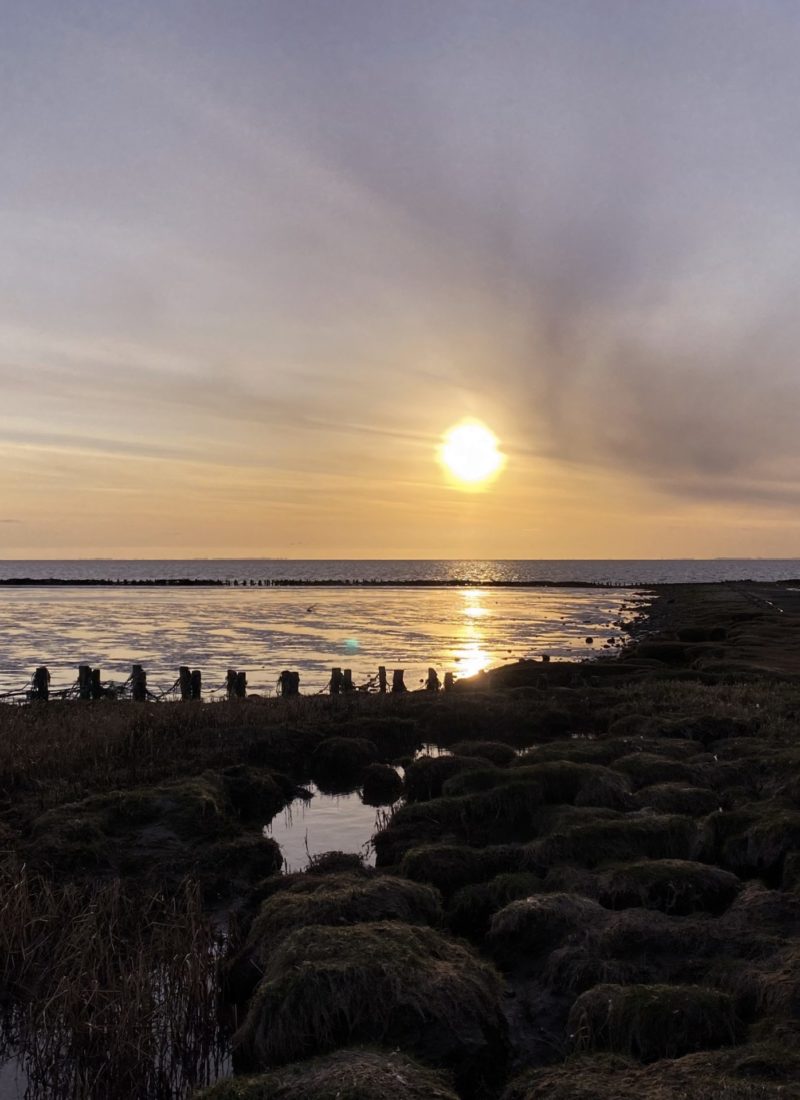 SORT SOL VED TØNDERMARSKEN