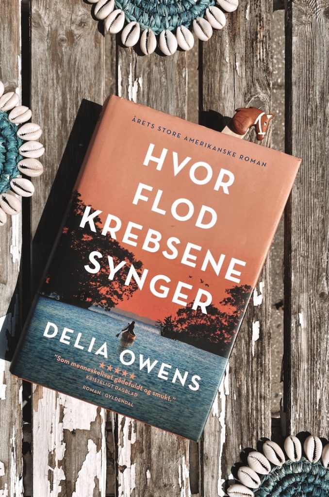 bog der ligger på bord