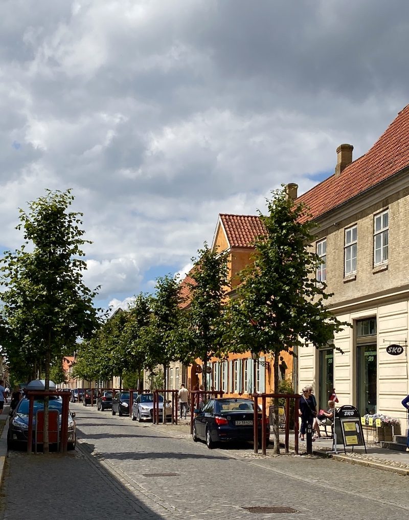 CHRISTIANSFELD – 100 ÅR FOR GENFORENINGEN