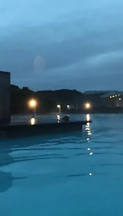 Screenshot_2020-06-13 Wix' hjemmesideeditor - 5fodspor